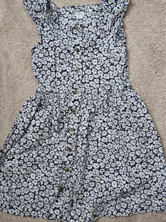 J. Crew Other - Summer Daisy Dress